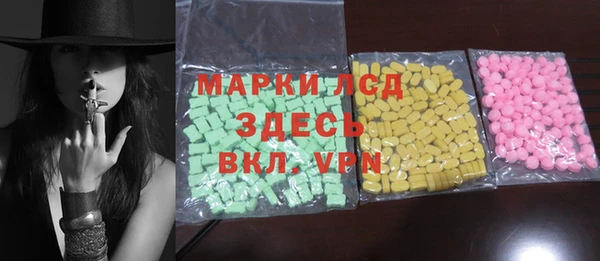 индика Абаза