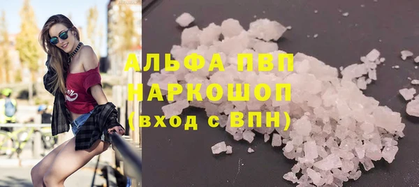 индика Абаза