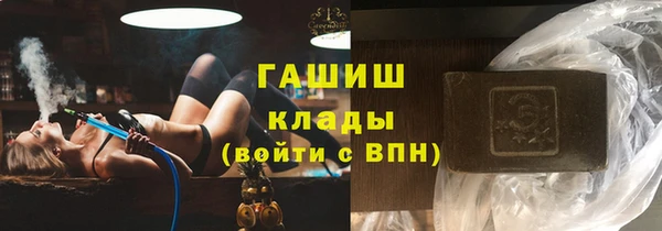 индика Абаза