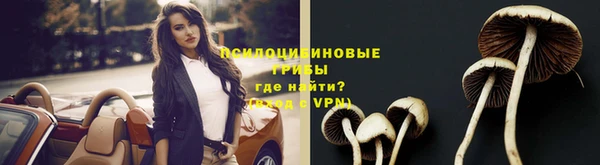 индика Абаза