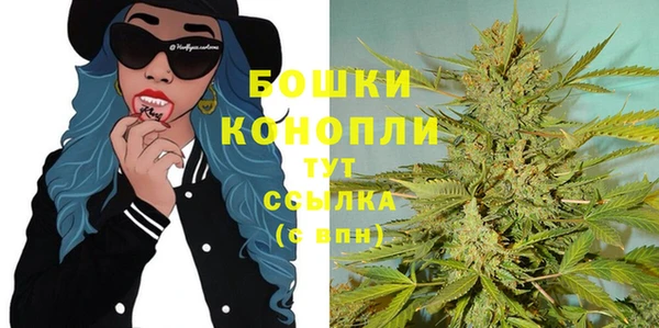 гидра Надым