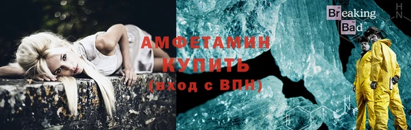 индика Абаза