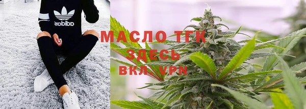 индика Абаза
