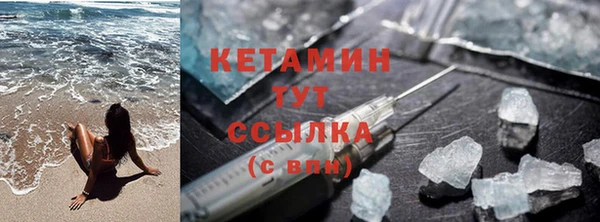 гидра Надым