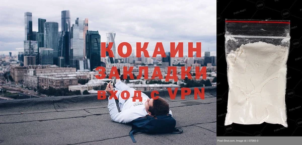 индика Абаза
