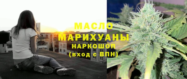 индика Абаза