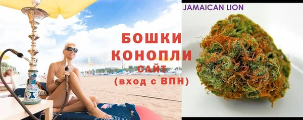 индика Абаза