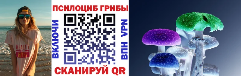 закладки  Электроугли  ссылка на мегу tor  Галлюциногенные грибы мицелий 