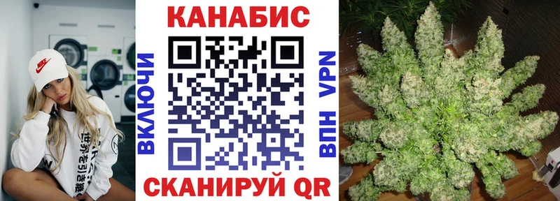 Бошки Шишки планчик Электроугли